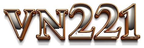 vn221 logo